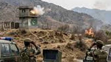 पंजाब के बरनाला में हाई अलर्ट, ट्राइडेंट प्लांट के नजदीक संदिग्ध चाइनीज ड्रोन गिरा