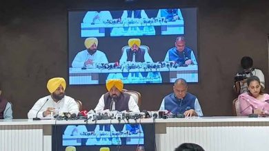 विकास का नया रोडमैप: पंजाब में फिनलैंड और नीदरलैंड मॉडल लागू करने की योजना