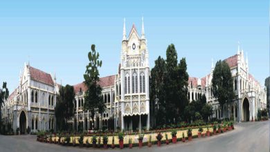 हाईकोर्ट का बड़ा फैसला: MP में संविदा कर्मियों को मिलेगा 10 साल की सेवा का हक, न्यूनतम वेतन और अन्य लाभ