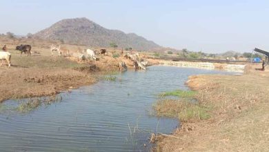 मनरेगा से पनारी नाले का जीर्णोद्धार: 1200 ग्रामीणों को पेयजल व सिंचाई का लाभ