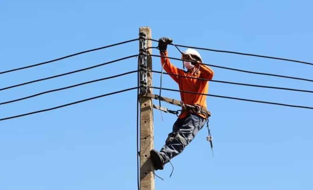 सरकारी नौकरी का गोल्डन चांस! मध्य प्रदेश बिजली विभाग में 3000 पदों पर वैकेंसी, 10वीं पास कर सकते हैं आवेदन