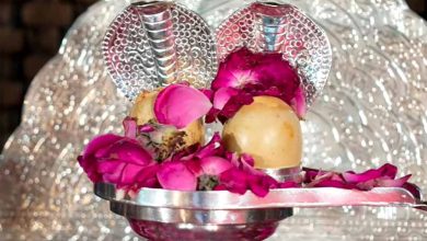 29 अप्रैल को रायपुर में प्राचीन “सोमनाथ ज्योतिर्लिंग छत्तीसगढ़ वासियों के जनदर्शन हेतु कार्यक्रम