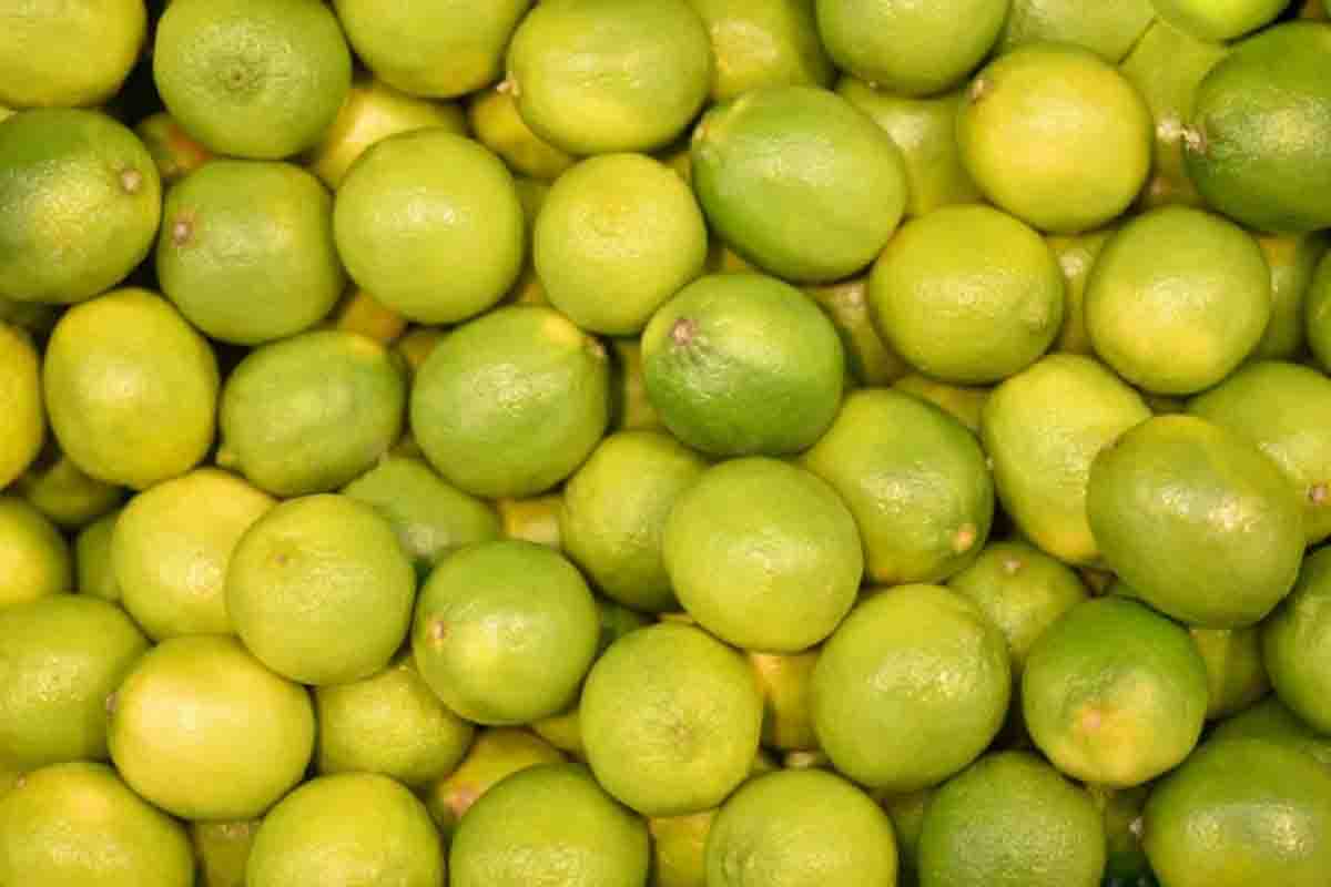 जयपुर की सब्जी मंडी का हाल, लहसुन और नींबू हुए महंगे, हरी मिर्च और टमाटर के भाव गिरे