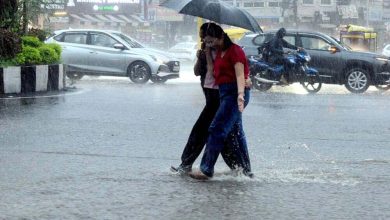 पंजाब में आंधी-बारिश का अलर्ट, 15 शहरों में तापमान 35 डिग्री पार, बठिंडा सबसे गर्म