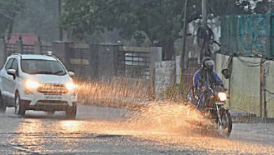 जालंधर में बारिश, तापमान में गिरावट, अगले 48 घंटे तक होगी बूंदाबांदी, स्वास्थ्य विशेषज्ञों ने जारी की चेतावनी