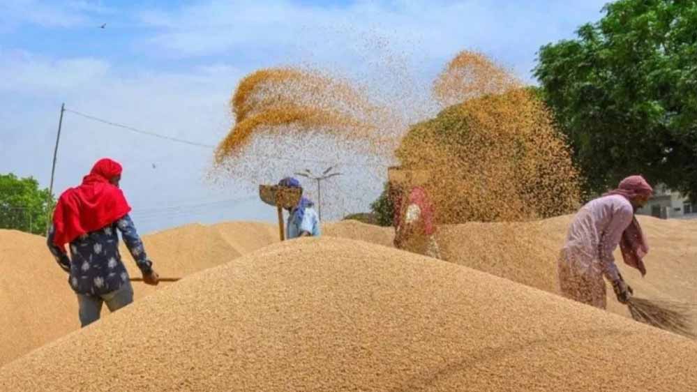 मध्यप्रदेश में गेहूं की MSP और बोनस पर खरीद की शुरुआत, रजिस्ट्रेशन वाले किसानों को मिलेगा फायदा