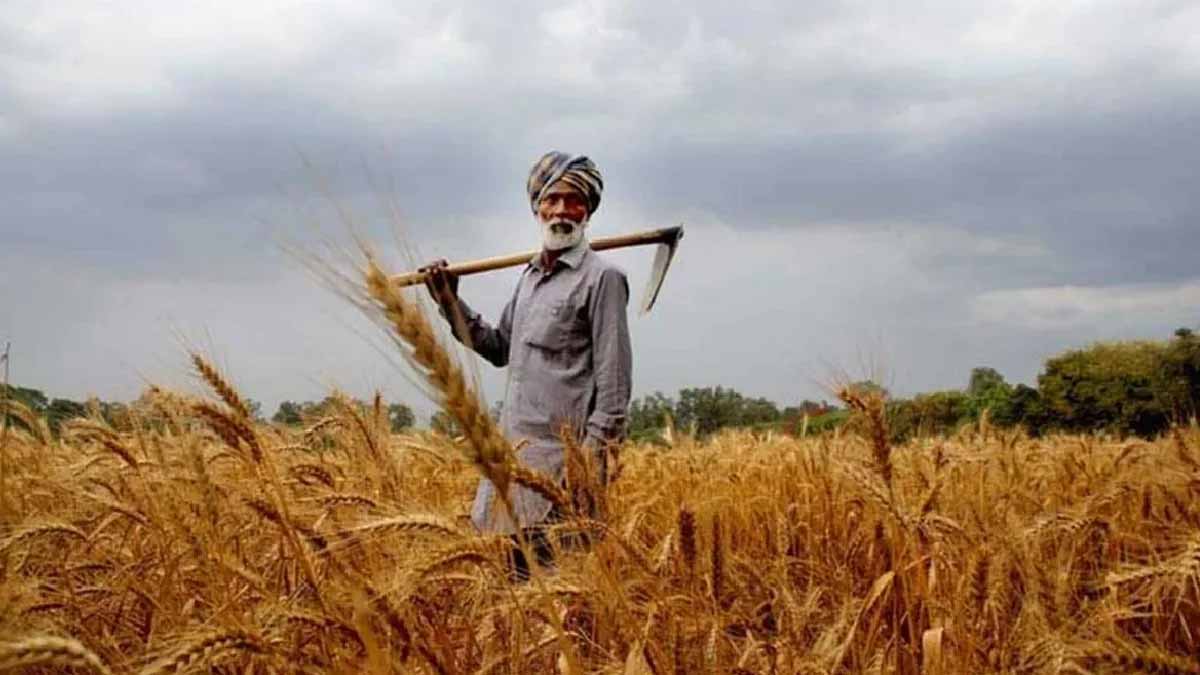 हरनौत में कृषि सखियों की बहाली पर गड़बड़ी का आरोप, डीएम ने जांच के दिए आदेश हरनौत में कृषि सखियों की बहाली पर गड़बड़ी का आरोप, डीएम ने जांच के दिए आदेश