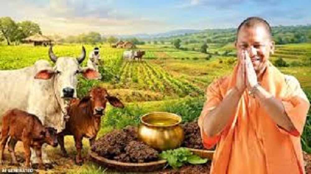 योगी सरकार का बड़ा प्लान: गोबर-गोमूत्र से बनेगा ऑर्गेनिक फर्टिलाइजर, गांवों में बढ़ेगा रोजगार योगी सरकार का बड़ा प्लान: गोबर-गोमूत्र से बनेगा ऑर्गेनिक फर्टिलाइजर, गांवों में बढ़ेगा रोजगार