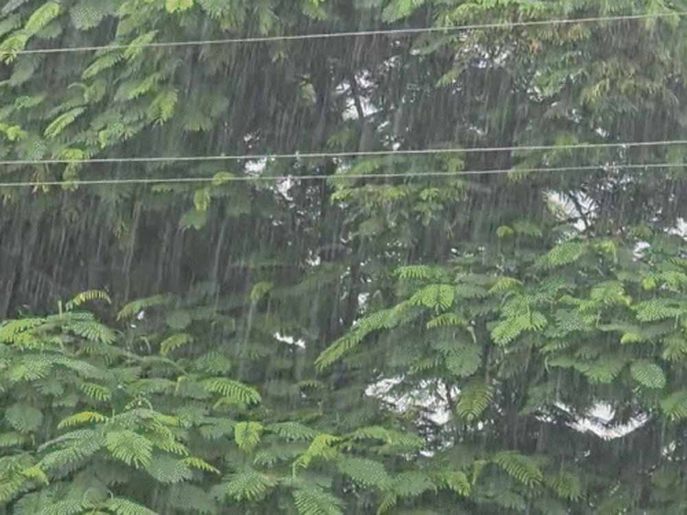 यूपी वेदर अपडेट: राजधानी समेत कई जिलों में तूफान और बिजली गिरने का खतरा