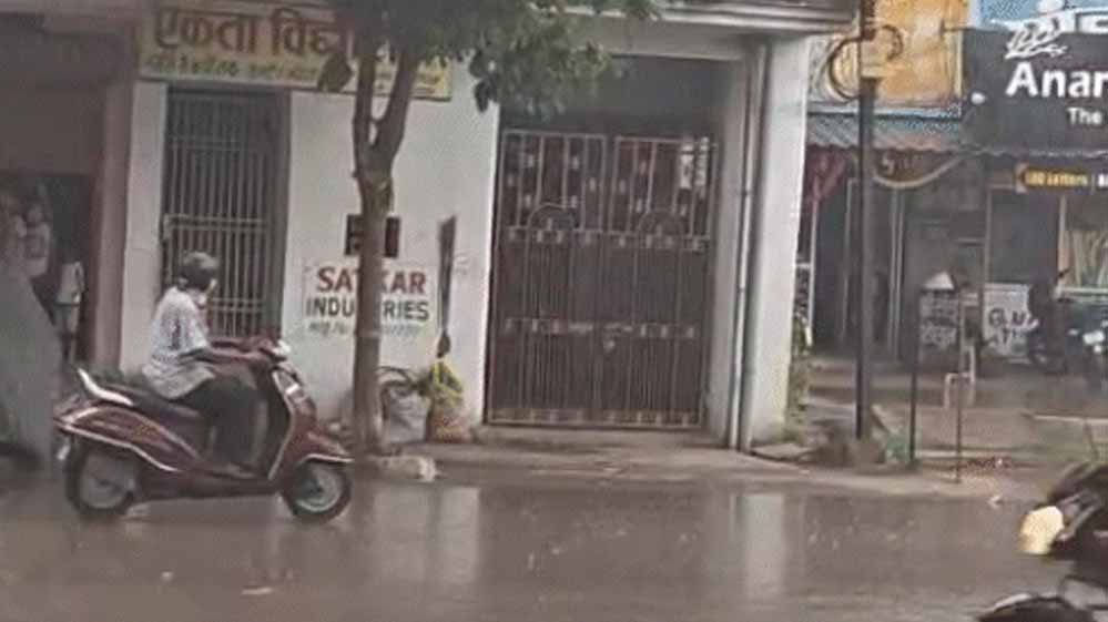 राजस्थान-बंगाल के सिस्टम का असर: छत्तीसगढ़ में अगले 5 दिन मौसम रहेगा खराब राजस्थान-बंगाल के सिस्टम का असर: छत्तीसगढ़ में अगले 5 दिन मौसम रहेगा खराब