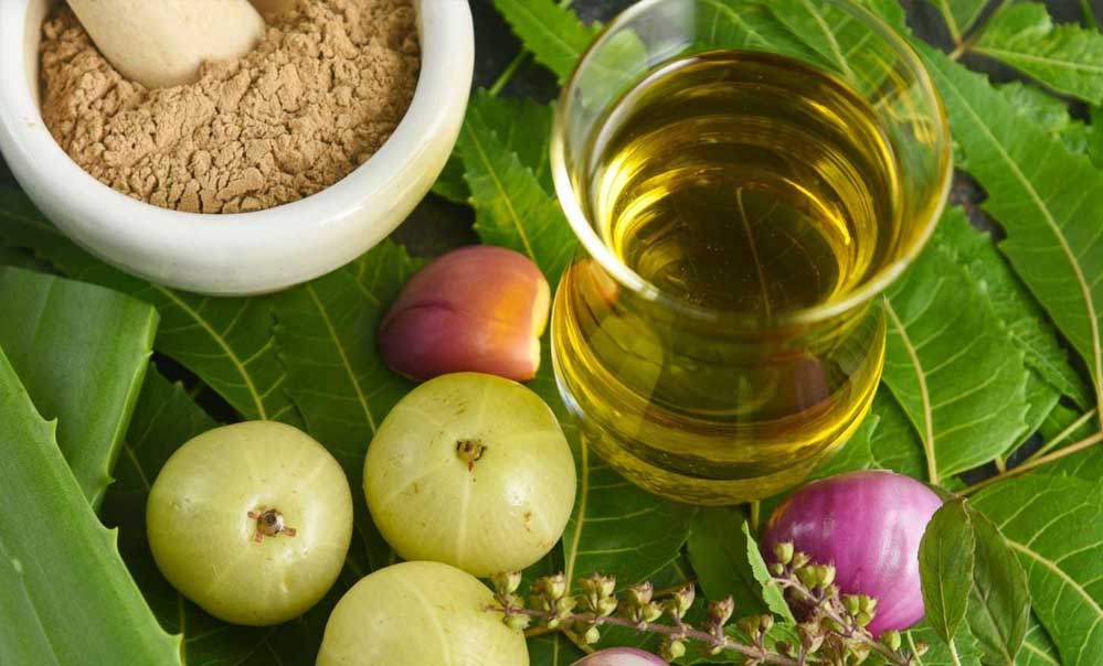 बालों की सेहत का राज़: खाएं ये सुपरफूड्स और पाएं घने, मजबूत बाल