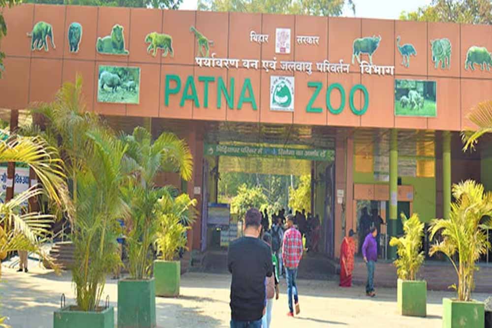 पटना चिड़ियाघर में बड़ा बदलाव: गैंडों की अदला-बदली से बढ़ेगी प्रजातियों की विविधता