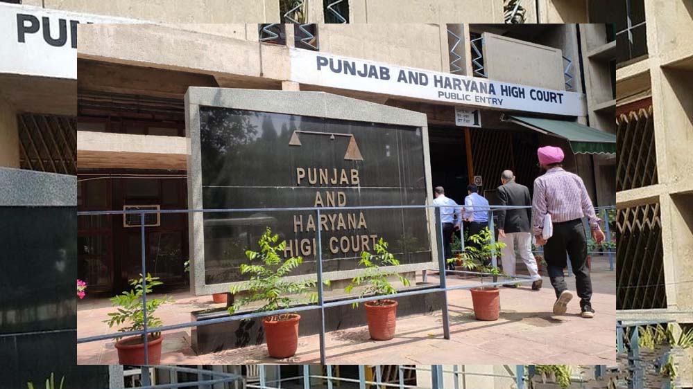 हाईकोर्ट का बड़ा फैसला, उम्रदराज और कम पढ़े-लिखे होने पर नंबरदार को नहीं हटाया जा सकता हाईकोर्ट का बड़ा फैसला, उम्रदराज और कम पढ़े-लिखे होने पर नंबरदार को नहीं हटाया जा सकता