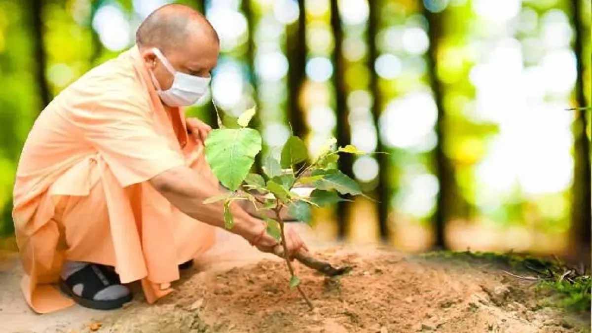 सामाजिक समरसता और पर्यावरण संरक्षण का मिशन, यूपी में शुरू होगा बड़ा वृक्षारोपण अभियान