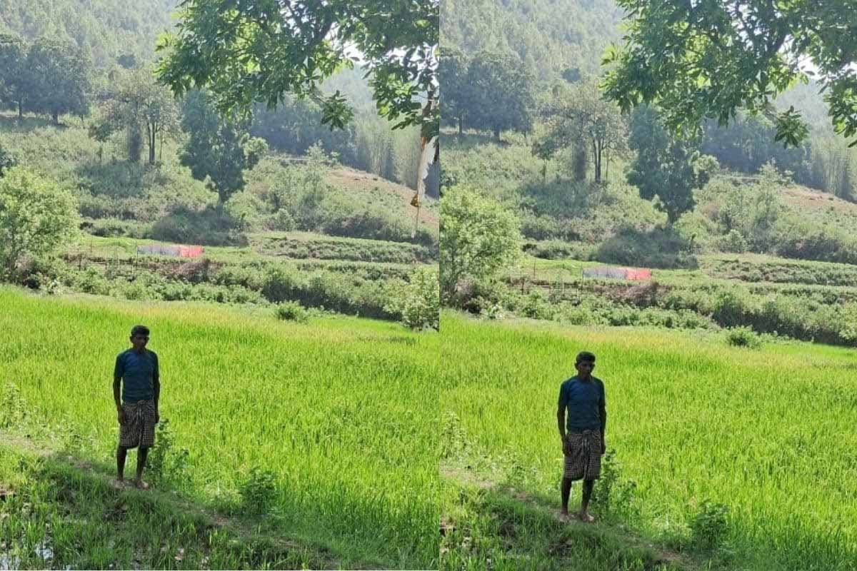 सिंचाई सुविधा से बदल रही तस्वीर, जिले में 3674 हेक्टेयर में गरमा खेती