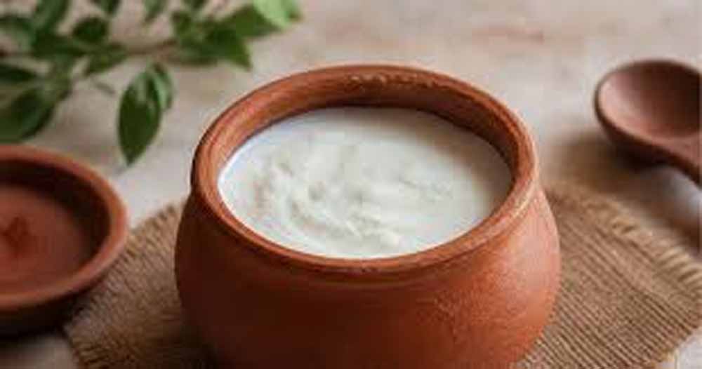 गर्मियों में दही को खट्टा होने से बचाने के आसान और असरदार टिप्स