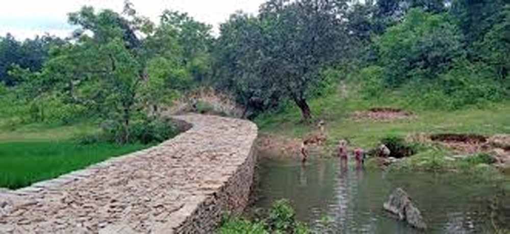 वन भूमि पर जल संरक्षण का बड़ा कदम, भूजल रिचार्ज के लिए बनाए जाएंगे चेकडैम