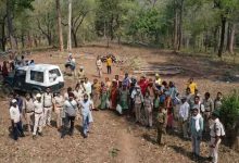 वन विभाग की कार्रवाई पर बवाल, उदंती अभ्यारण के उपनिदेशक पर हमला