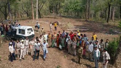 वन विभाग की कार्रवाई पर बवाल, उदंती अभ्यारण के उपनिदेशक पर हमला