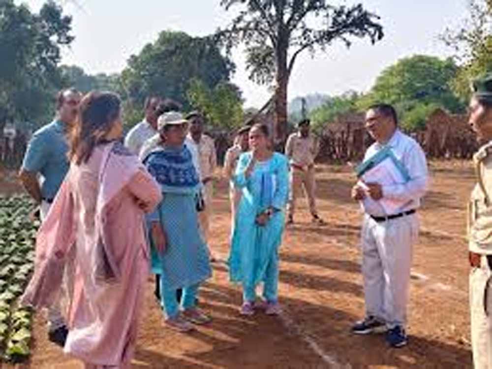 तेंदूपत्ता संग्रहण में तेजी लाने की कवायद: फड़ों पर पहुंचे वन अधिकारी, व्यवस्थाओं का लिया जायजा तेंदूपत्ता संग्रहण में तेजी लाने की कवायद: फड़ों पर पहुंचे वन अधिकारी, व्यवस्थाओं का लिया जायजा