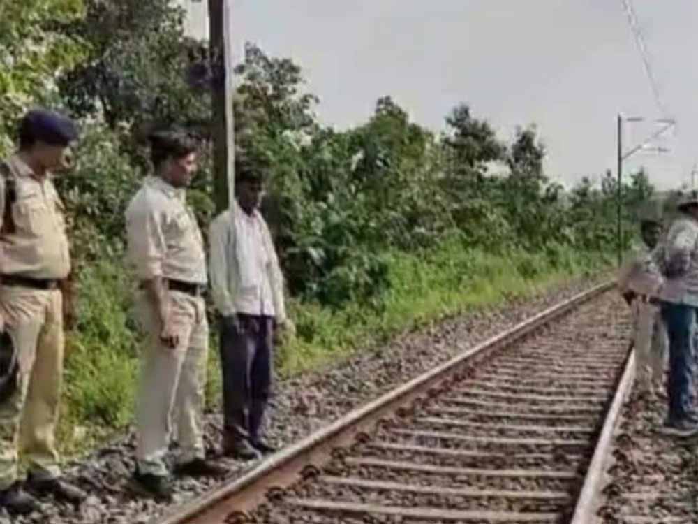 रेलवे सुरक्षा अलर्ट! जगदलपुर स्टेशन पर ‘शेरा’ संग ट्रेनों की सघन जांच रेलवे सुरक्षा अलर्ट! जगदलपुर स्टेशन पर ‘शेरा’ संग ट्रेनों की सघन जांच