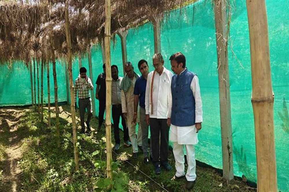 उप मुख्यमंत्री ने किया प्राकृतिक खेती का निरीक्षण उप मुख्यमंत्री ने किया प्राकृतिक खेती का निरीक्षण