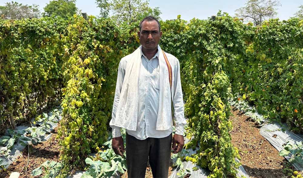 कोसमी में सफल बोर खनन से दूर हुआ जल संकट, ग्रामीणों के चेहरे खिले!