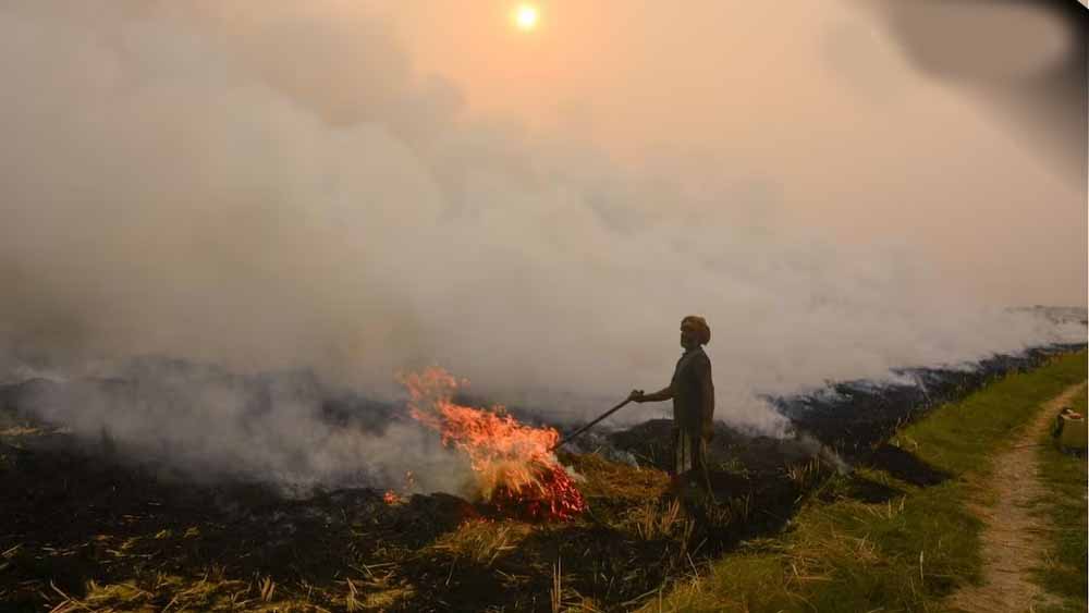 पराली पर कंट्रोल की तैयारी: फरीदकोट प्रशासन ने जारी किए नए निर्देश, सख्त निगरानी होगी