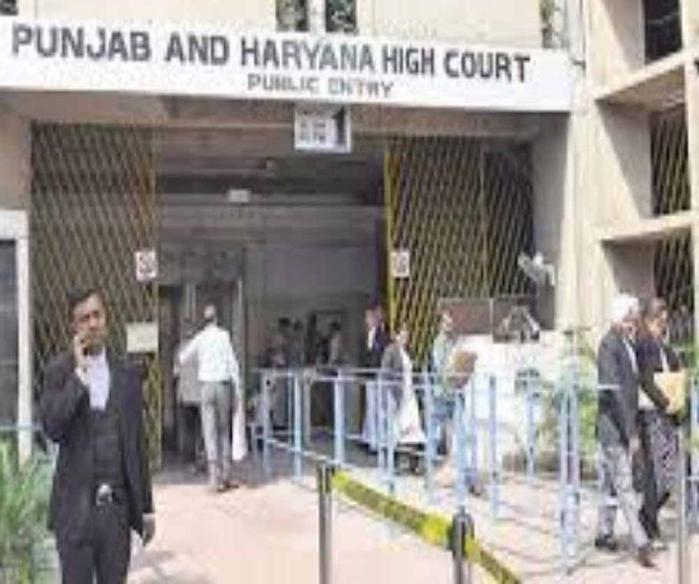 पंजाब हाई कोर्ट सख्त, ऑनलाइन नामांकन प्रक्रिया पर चुनाव आयुक्त को जारी हुआ नोटिस