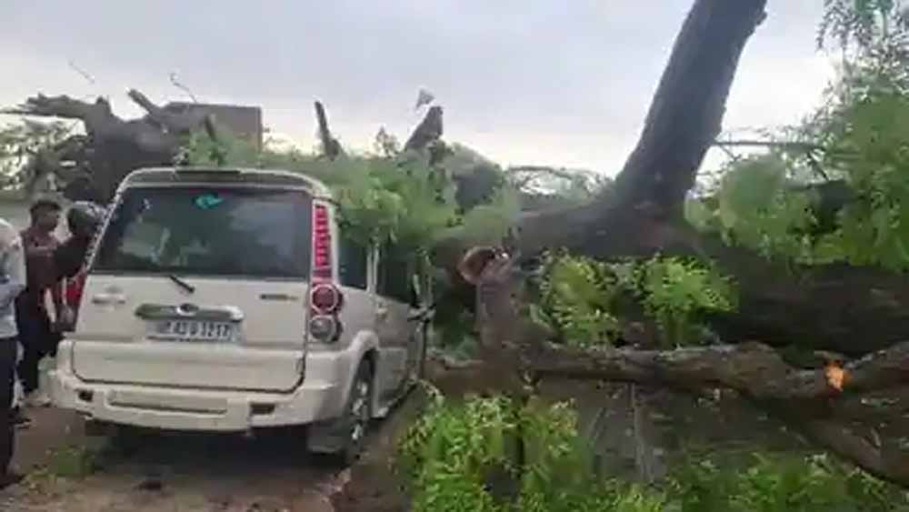 तेज आंधी और बारिश से उत्तर प्रदेश में भारी तबाही, 52 लोगों ने गंवाई जान