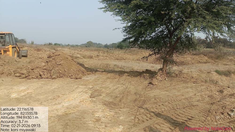 कम समय में शहर को मिलेगी सघन हरियाली कम समय में शहर को मिलेगी सघन हरियाली