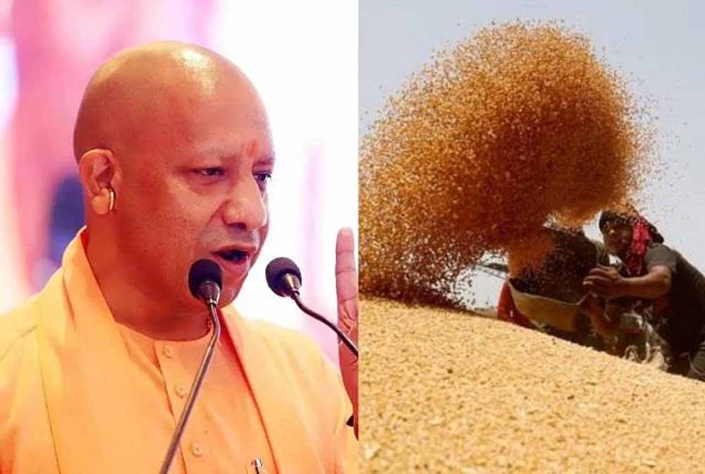 प्रदेश में गेहूं खरीद ने पकड़ी रफ्तार, 28 अप्रैल तक 6.10 लाख मीट्रिक टन गेहूं की खरीद प्रदेश में गेहूं खरीद ने पकड़ी रफ्तार, 28 अप्रैल तक 6.10 लाख मीट्रिक टन गेहूं की खरीद