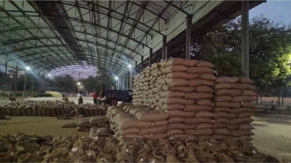 गेहूं की उपज में एमपी का जलवा, हरियाणा और पंजाब से आगे