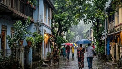 बारिश और तेज हवाओं से बदलेगा मौसम, कई जिलों में वज्रपात की चेतावनी