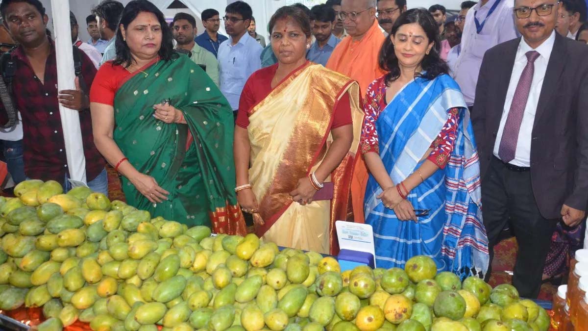 रसायन-मुक्त आमों की प्रदर्शनी, रांची में किसानों को मिला सीधा बाजार