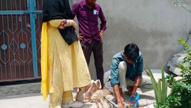 भजनलाल सरकार का विशेष अभियान जारी, हजारों हैंडपंप और पाइपलाइन दुरुस्त कर लोगों को राहत