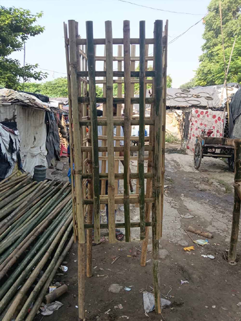 सुकमा की 53 महिलाओं को मिला विशेष प्रशिक्षण, बढ़ेगी आय और मजबूत होगा पर्यावरण संरक्षण