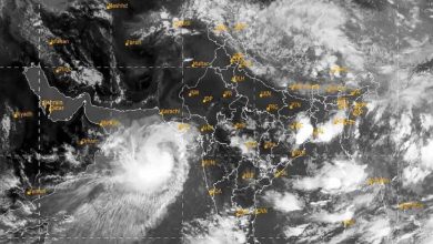 छत्तीसगढ़ पहुंचा मानसून, दंतेवाड़ा से हुई दस्तक; 48 घंटे में झमाझम बारिश के आसार