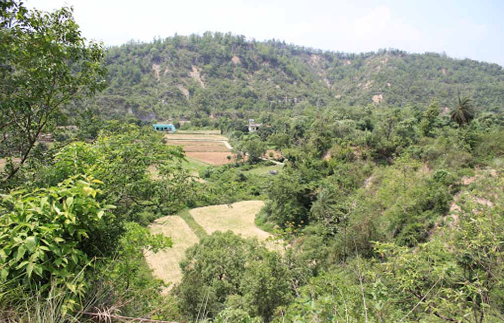 हरियाणा में यमुनानगर का ग्रीन रिकॉर्ड, 60 लाख से अधिक पौधारोपण के साथ शीर्ष पर पहुंचा हरियाणा में यमुनानगर का ग्रीन रिकॉर्ड, 60 लाख से अधिक पौधारोपण के साथ शीर्ष पर पहुंचा