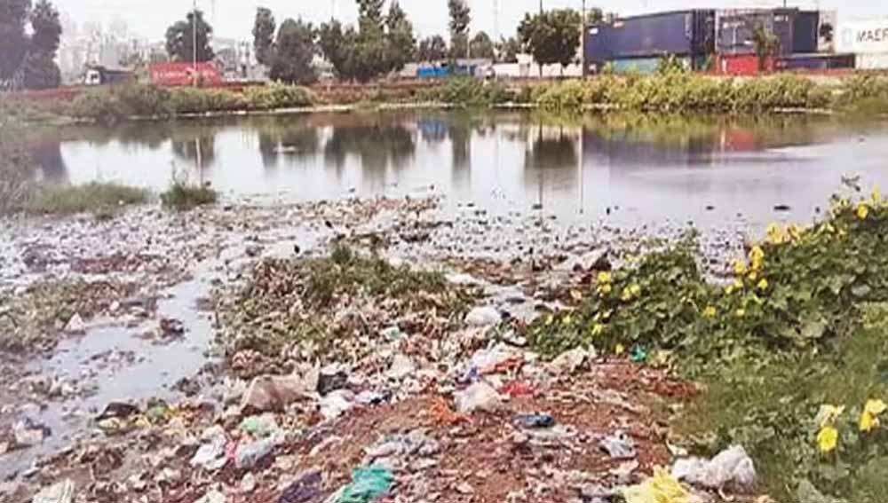 चौंकाने वाली रिपोर्ट: यमुनानगर के 592 तालाब बने कचरा घर, 69 जलाशय सूखने की कगार पार चौंकाने वाली रिपोर्ट: यमुनानगर के 592 तालाब बने कचरा घर, 69 जलाशय सूखने की कगार पार
