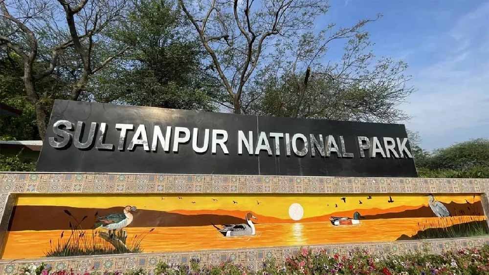 अब AI और ड्रोन रखेंगे पक्षियों पर नजर, सुल्तानपुर नेशनल पार्क में बनेगा डिजिटल डेटा बैंक अब AI और ड्रोन रखेंगे पक्षियों पर नजर, सुल्तानपुर नेशनल पार्क में बनेगा डिजिटल डेटा बैंक