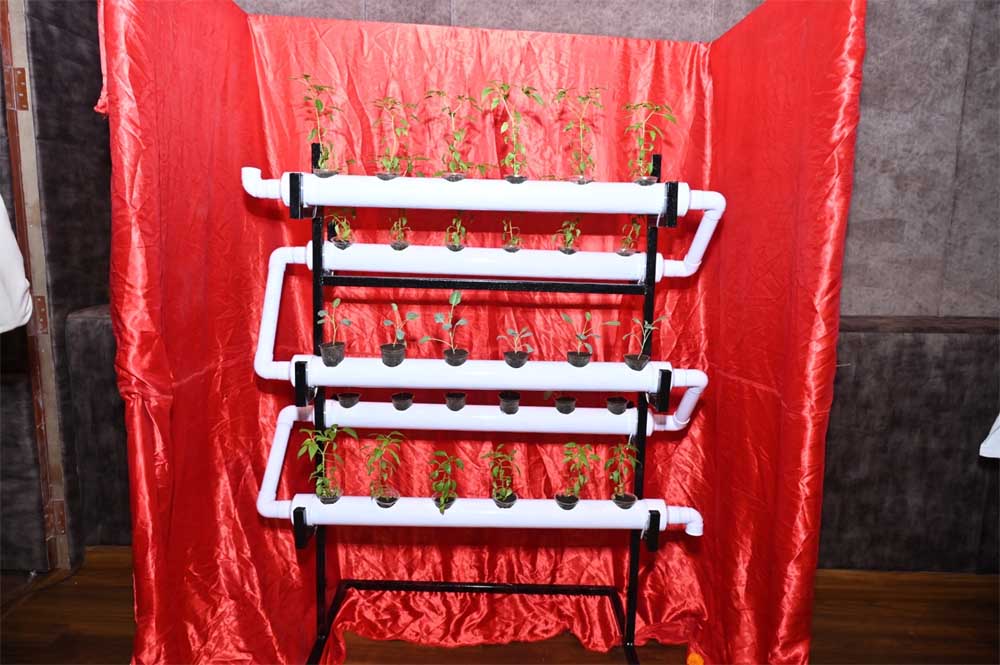 कम पानी, कम जगह और अधिक उत्पादन की आधुनिक खेती