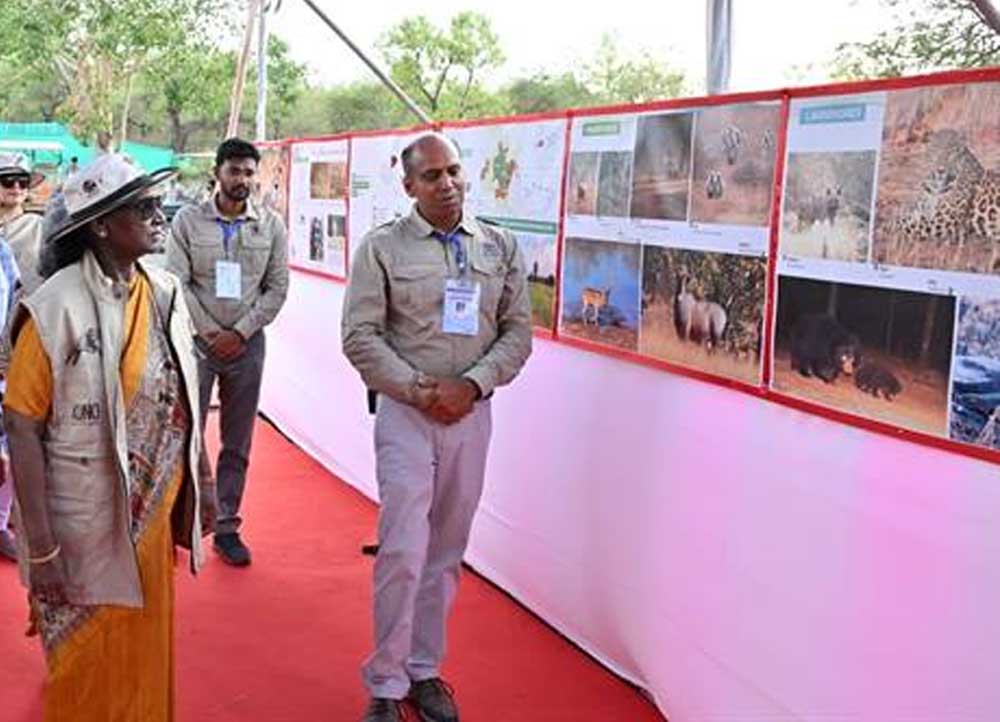 चीता परियोजना का जायजा लेने पहुंचीं राष्ट्रपति, चीता प्रदर्शिनी का भी किया अवलोकन