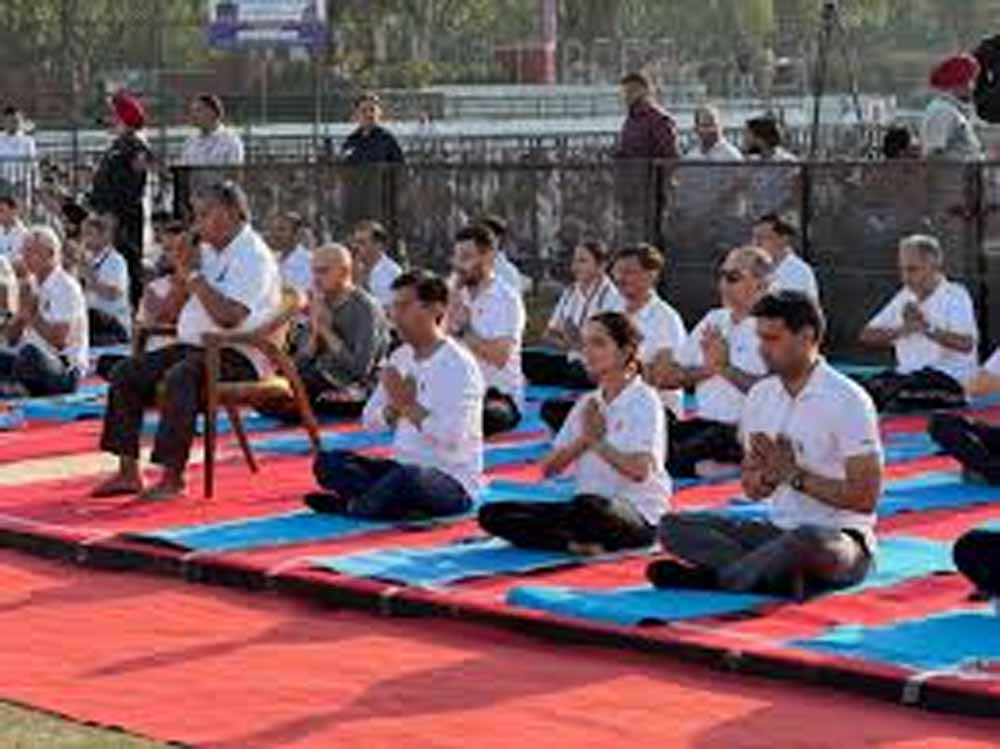 एक दिन नहीं, पूरे 365 दिन योग: चंडीगढ़ में नई पहल से फिटनेस पर जोर