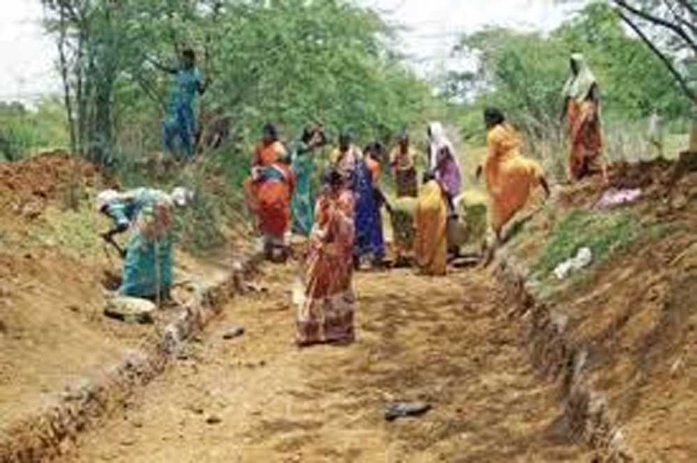 मनरेगा की जगह लागू होगी 'वीबीजीराम-जी' योजना, जिलों को एक्शन प्लान तैयार करने के निर्देश