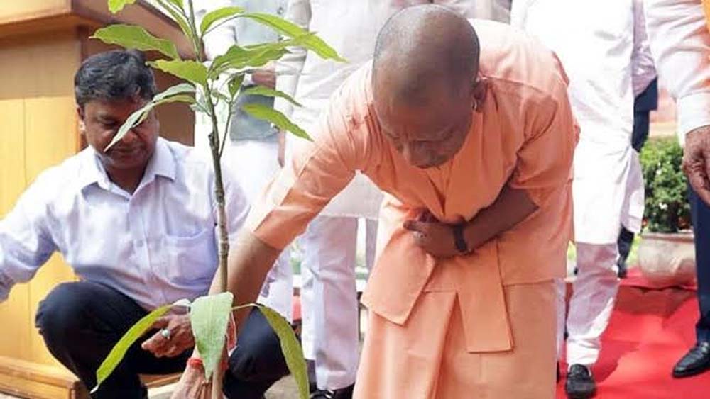 सीएम योगी बोले, प्रकृति बचाने को हर नागरिक लगाए एक पेड़ मां के नाम। सीएम योगी बोले, प्रकृति बचाने को हर नागरिक लगाए एक पेड़ मां के नाम।