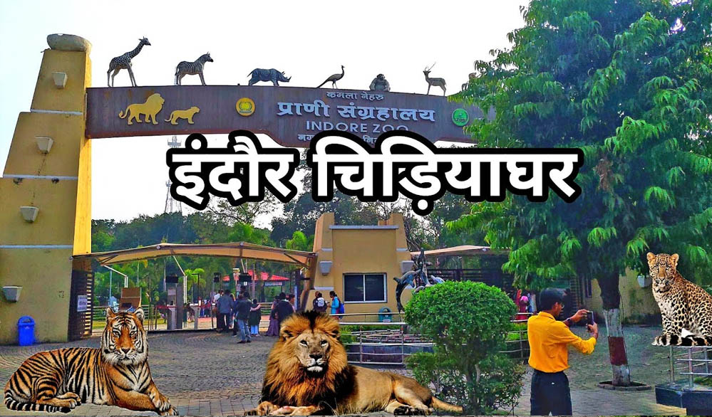 इंदौर प्राणी संग्रहालय को मिलेगा नया मेहमान, गैंडों की जोड़ी और दरियाई घोड़ा 'सतीश' बनेगा आकर्षण का केंद्र इंदौर प्राणी संग्रहालय को मिलेगा नया मेहमान, गैंडों की जोड़ी और दरियाई घोड़ा 'सतीश' बनेगा आकर्षण का केंद्र
