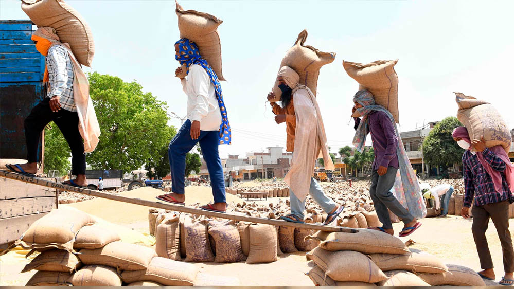 Employment Report: रोजगार के मामले में लुधियाना सबसे आगे, 63 फीसदी कर्मचारी नियमित वेतनभोगी