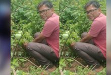 जबलपुर पूर्व प्रदेश अध्यक्ष सुनील कुमार राय ने पीपल के वृक्ष मझौली में लगाए