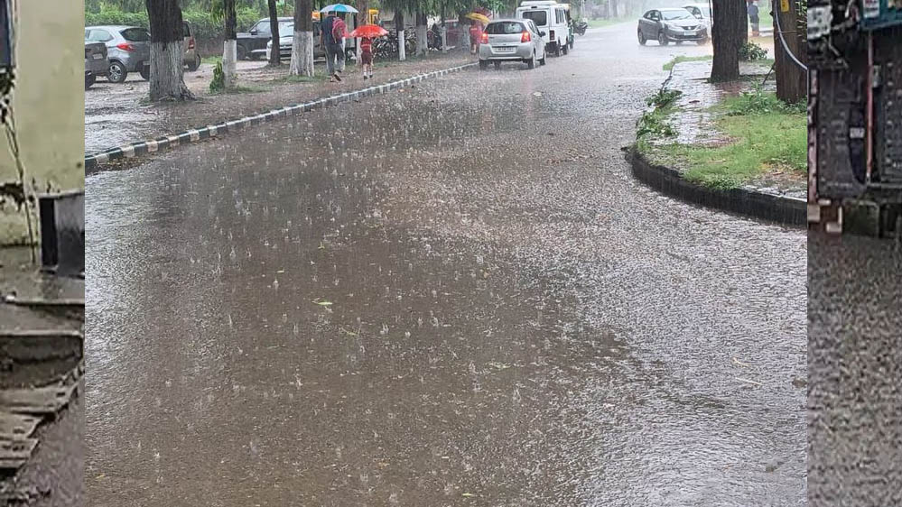 पंजाब में बारिश से बदला मौसम, लुधियाना समेत कई जिलों में राहत; अगले 48 घंटे के लिए ऑरेंज अलर्ट जारी पंजाब में बारिश से बदला मौसम, लुधियाना समेत कई जिलों में राहत; अगले 48 घंटे के लिए ऑरेंज अलर्ट जारी